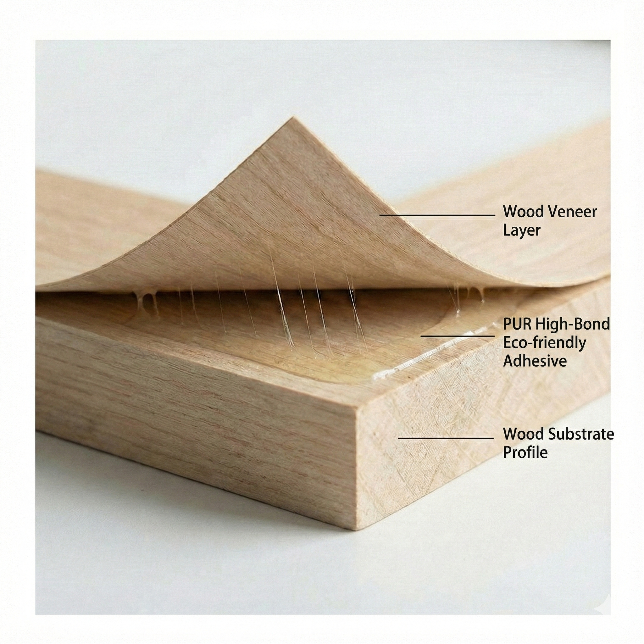 Molding Cross Section Detail